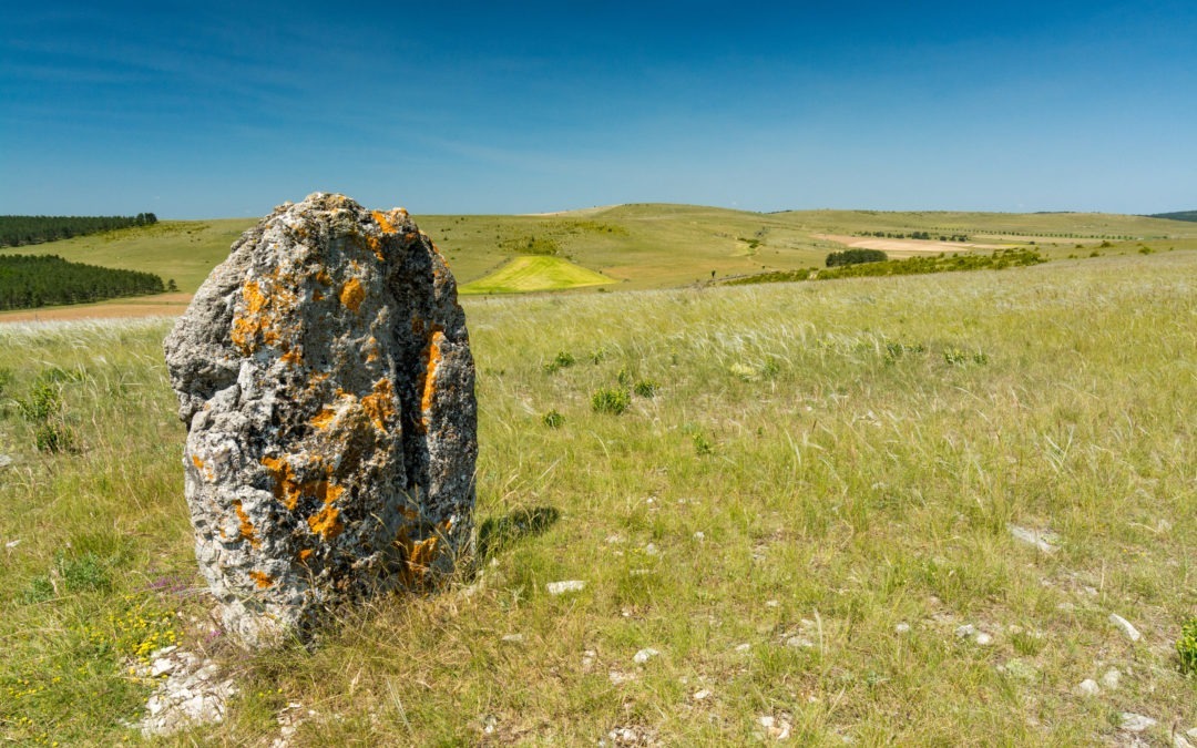 Les Menhirs sur le Causse Méjean